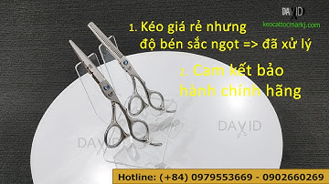 Bộ kéo cắt tóc Kasho 5.5 inch K-5524  giá rẻ, nhưng độ bén ngon hết ý_BẢO HÀNH CHÍNH HÃNG