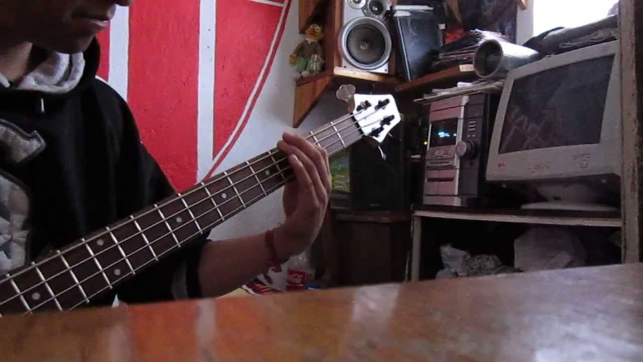 Pecadora Grupo nectar bajo cover.