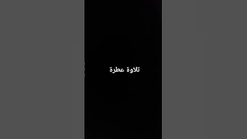 تلاوة عطرة #القرآن_الكريم #تلاوة_خاشعة #راحة_نفسية #صلوا_على_النبي #رمضان