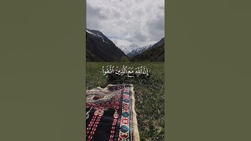 تلاوة قصيرة تريح القلب من الشيخ فارس عباد 🤍