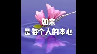 201712 如来是每个人的本心22845