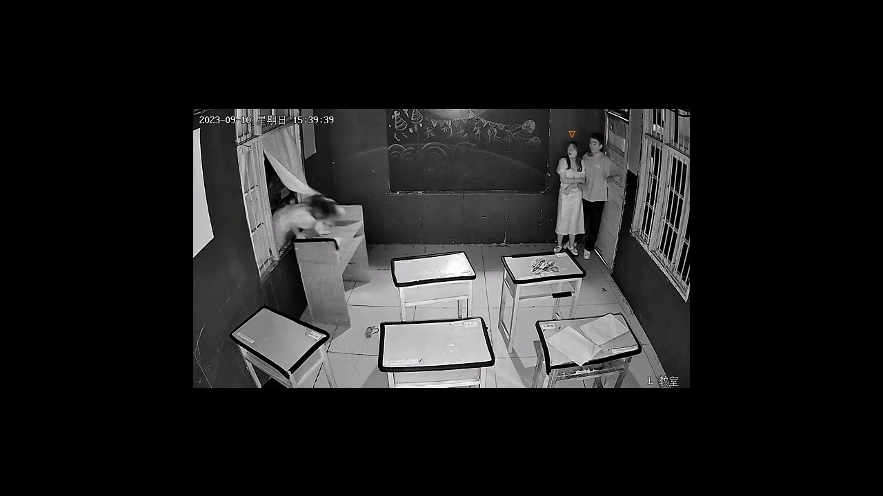 Real Ghost Caught On Camera Ghostreaction Hauntedhouse Scary Shorts Funny Paranormal