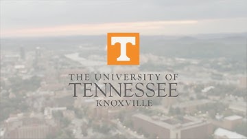 Welcome to Big Orange Country!