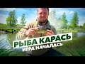 Рыбалка на карася. Отдых с рыбалкой