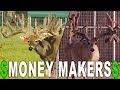 Partnering in the Deer Industry | Deer Farming Channel