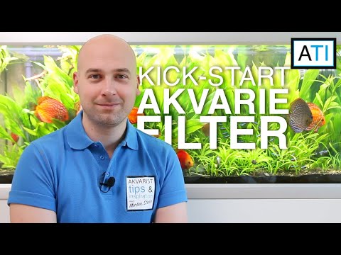 Video: Sådan Vælges Et Filter Til Et Akvarium