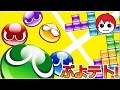 ぷよぷよテトリスってなんだろう？【赤髪のとも】