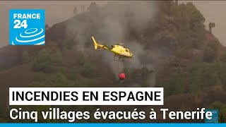 Incendies en Espagne : cinq villages évacués à Tenerife • FRANCE 24