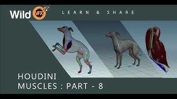 Houdini Muscle System Tutorial - Muscles - Part 08 - Wild VFX