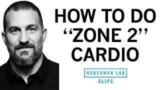 How & Why to Get Weekly 'Zone 2' Cardio Workouts | Dr. Andrew Huberman