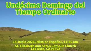 6-14-2026 11:30 am livestream