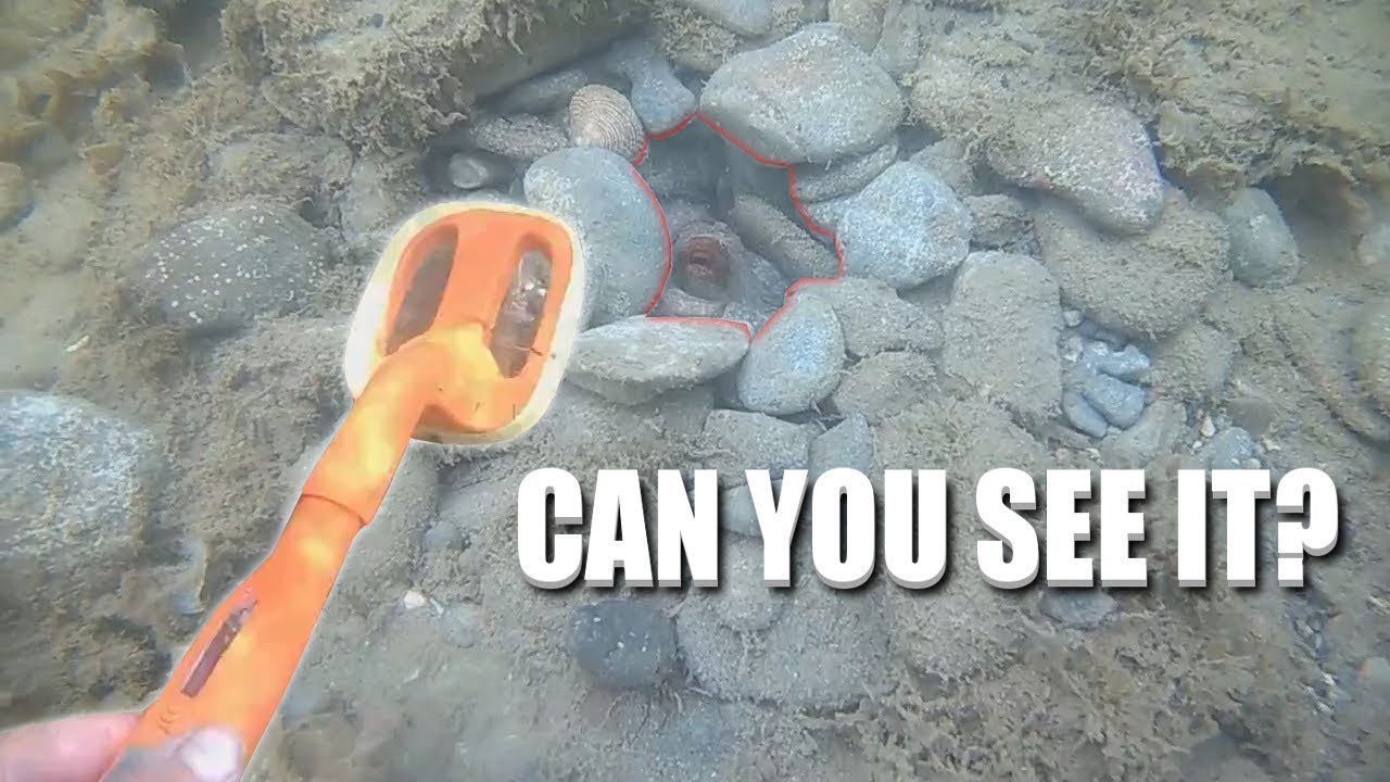 Metal Detecting Beach And Ocean (What Is Lurking In The Rocks?!) YouTube