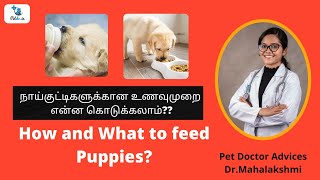 நாய்குட்டிகளுக்கான உணவுமுறை  என்ன கொடுக்கலாம்| Puppy feeding guidelines| Do's and Dont's| Part1