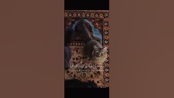 يا يحيى خذ الكتاب بقوة واتيناه الحكم صبيا - #القارئ سعود الشريم #تلاوة_خاشعة #قرآن