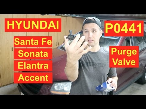 How to Hyundai Santa Fe Sonata Elantra Access Purge Valve P0441