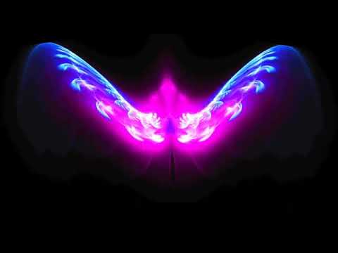 Efek Sayap Pada Quotes Youtube