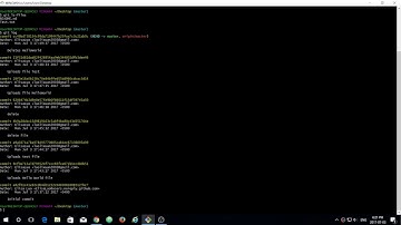 How to access a previous version of your git repository