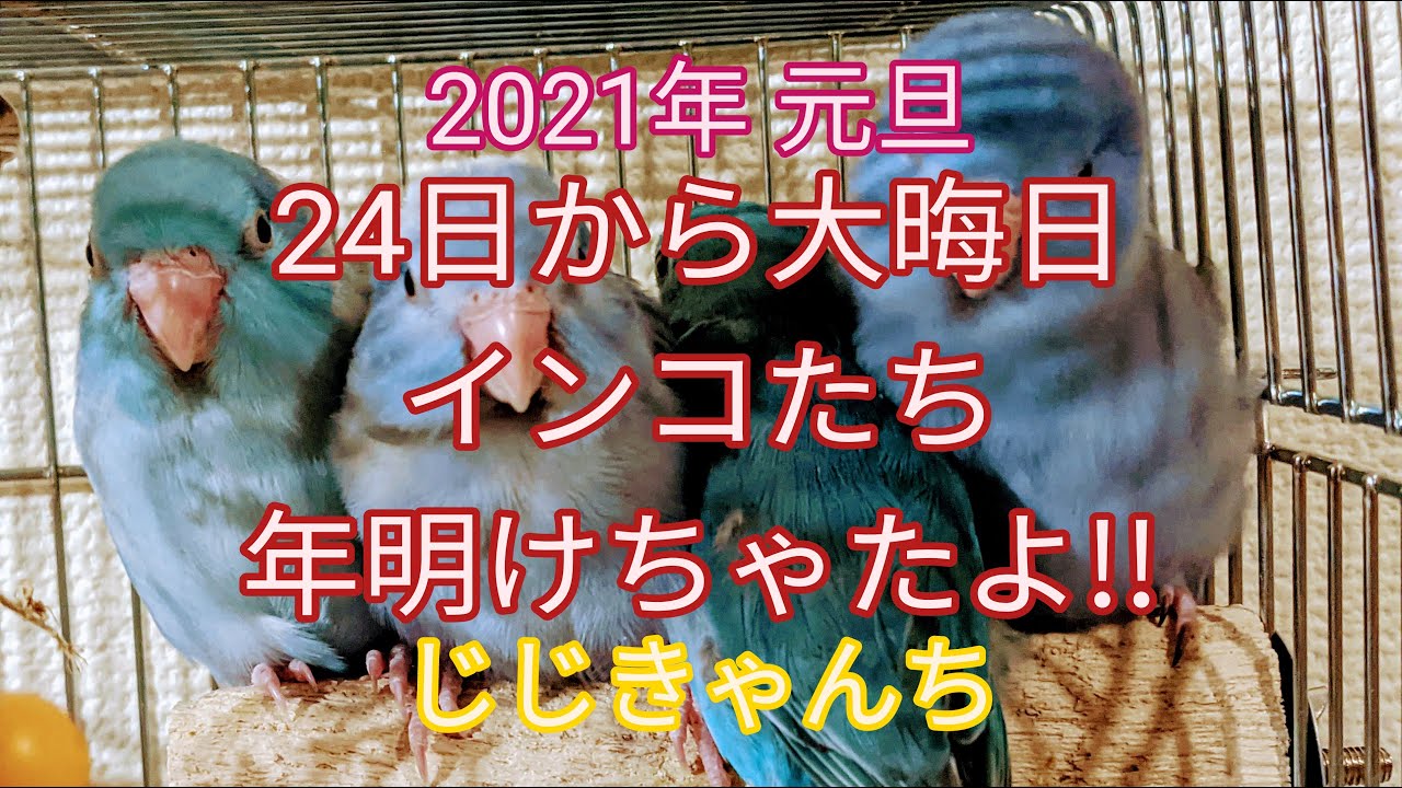 明けましておめでとうございます🐣