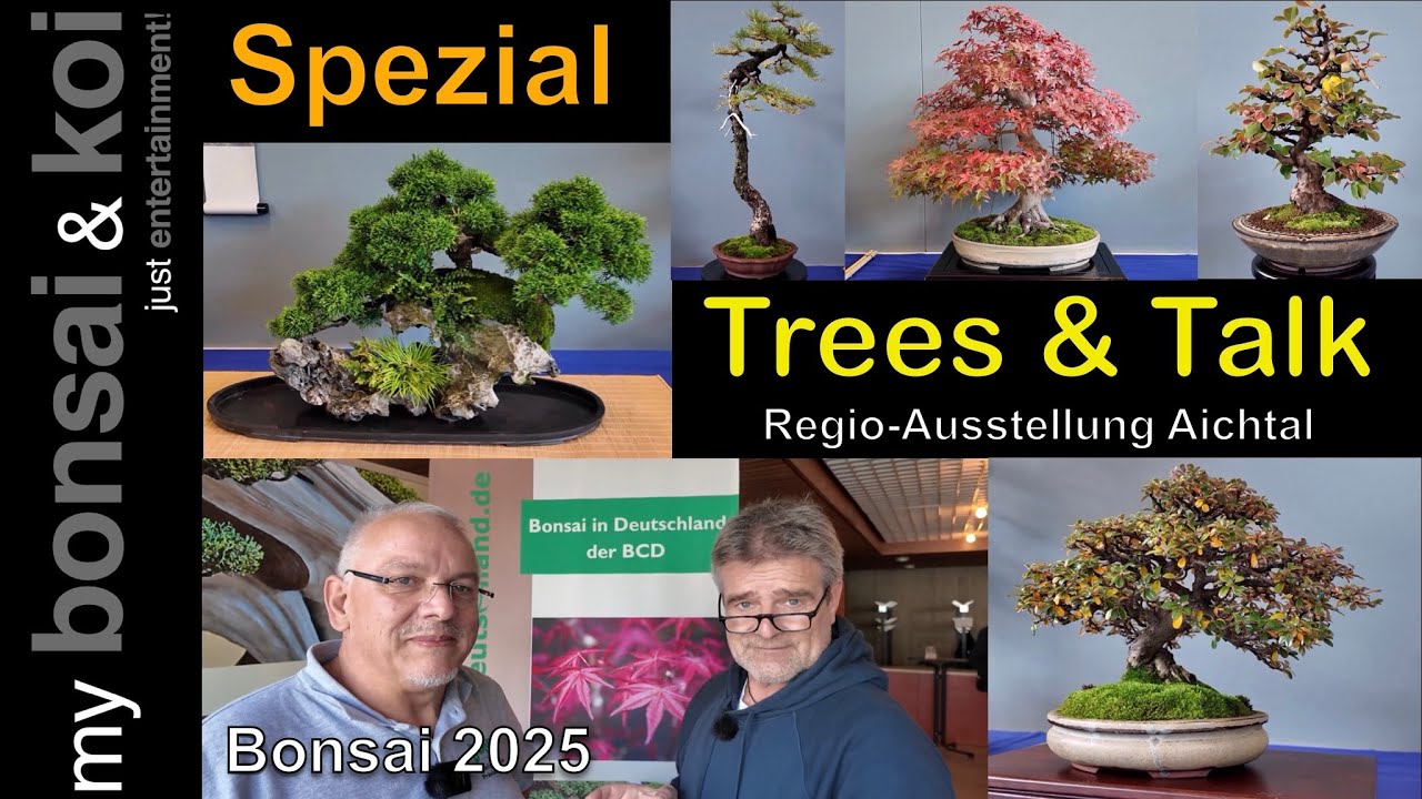 Bonsai 2025-42 - Spezial - Regio-Ausstellung Aichtal - die besten Bäume aus Baden Württemberg