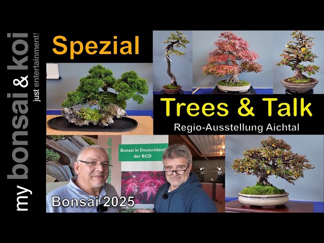 Bonsai 2025-42 - Special - Regional Exhibition Aichtal - the best trees  from Baden-Wrttemberg - YouTube