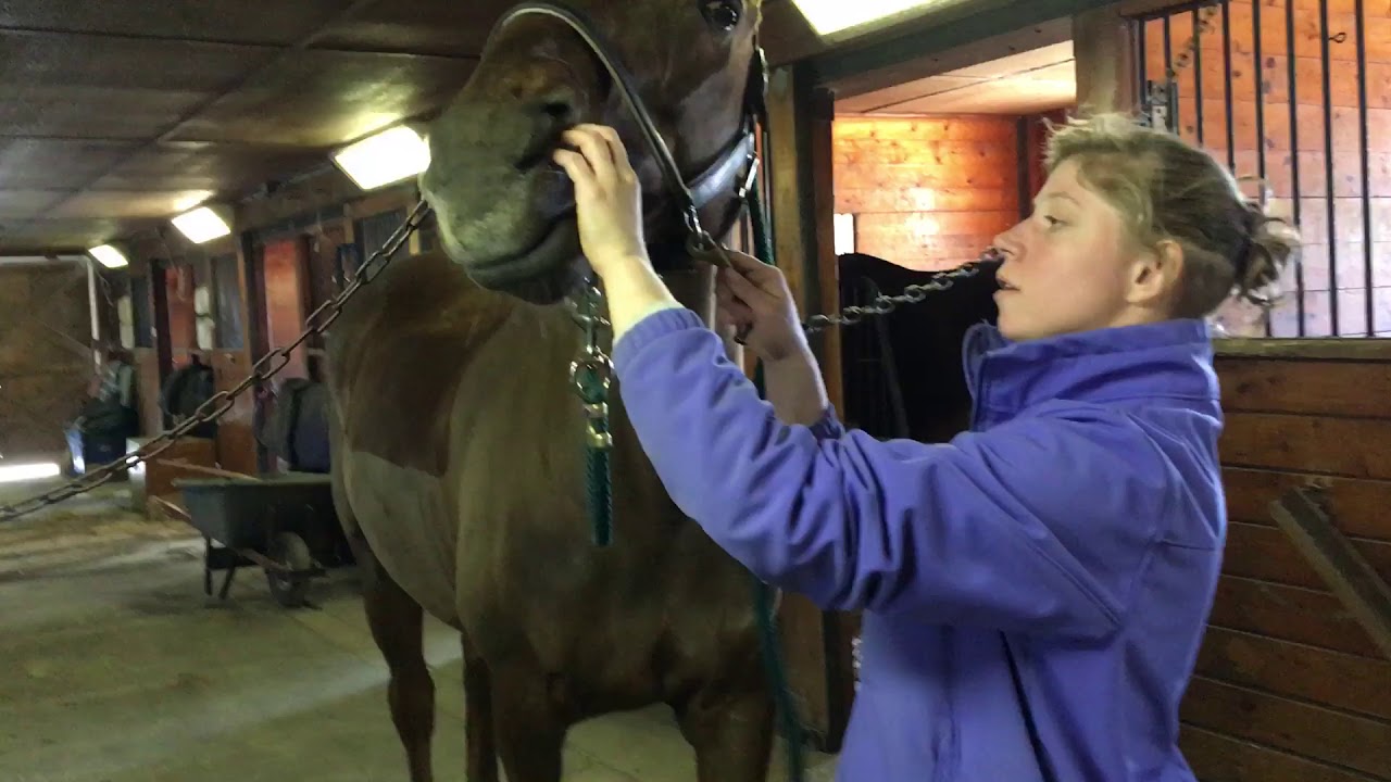 Stable management lesson4