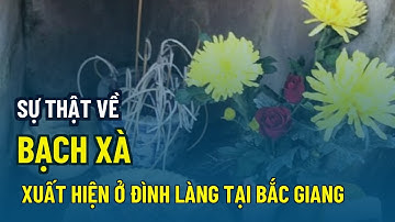 Sự thật về 