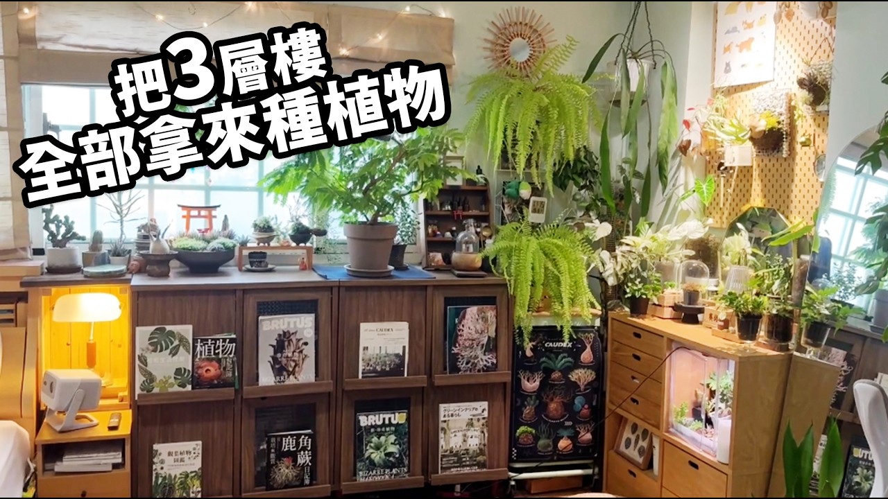 六層樓的植物人生｜把三層樓變成森林的人：青青小樹的家