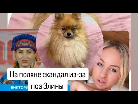Дом 2 НОВОСТИ