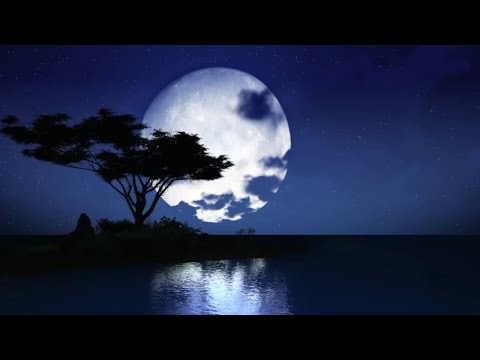 ان الذين يغضون أصواتهم عند رسول الله من سورة الحجرات عبدالرحمن مسعد