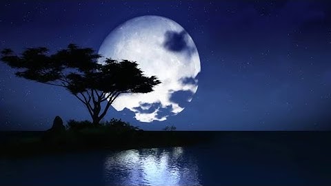 ان الذين يغضون أصواتهم عند رسول الله - من سورة الحجرات - عبدالرحمن مسعد
