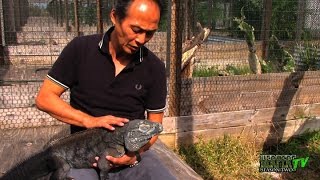 The Tremendous Ty Park and his Remarkable Reptile Farm - HerpersTV S2:Ep22