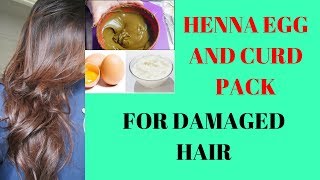 HENNA EGG AND CURD PACK FOR DAMAGED HAIR||Beauty Tips