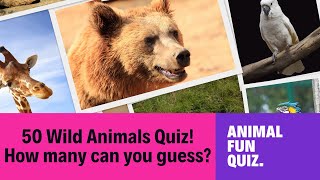 Can You Identify These 50 Wild Animals?  | Ultimate Challenge for Kids by Quiz Master!