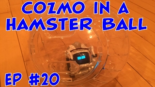 Cozmo in a Hamster Ball | Episode #20 | #cozmoments