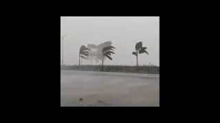 Severe Storm Cyclone