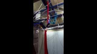 Miss Julia The Aerialist Supreme