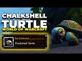 How to Unlock the Chalkshell Turtle Pet in World of 