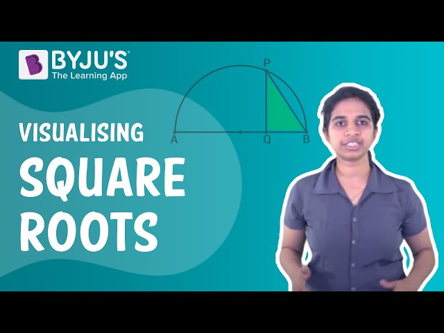 Square Number  Definition & Meaning