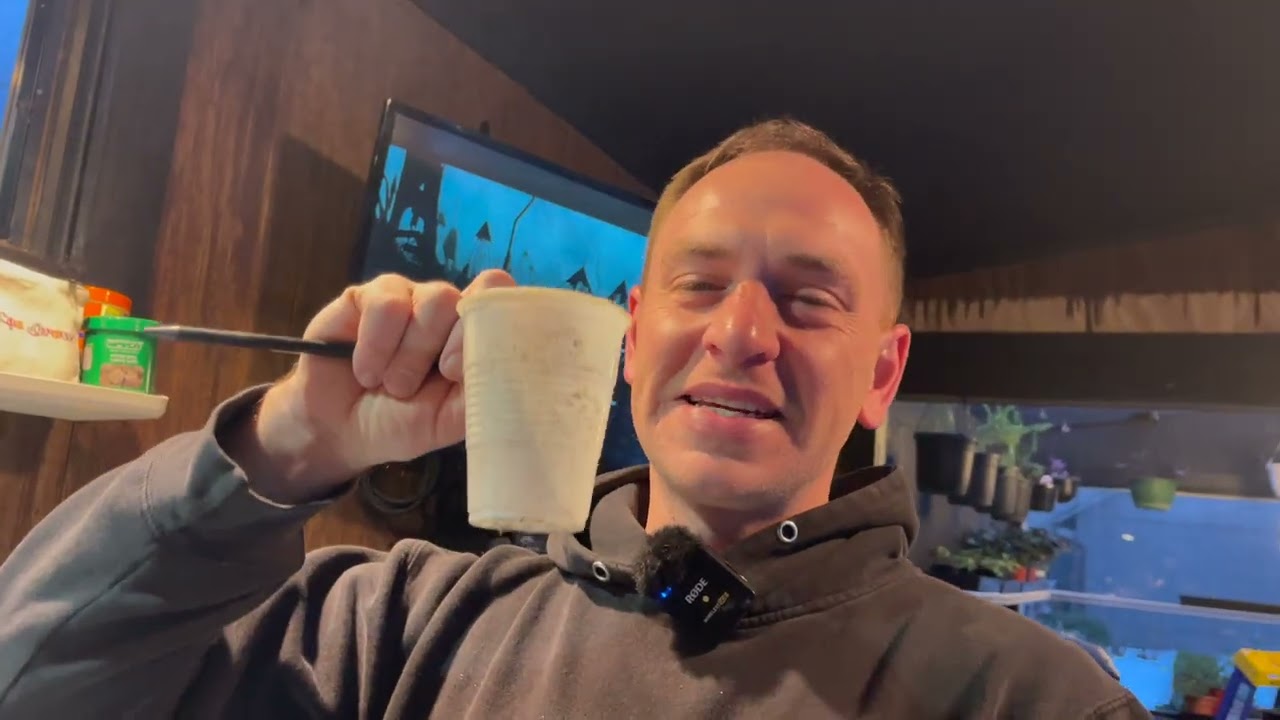 💐Seedlings updates and what I started this week💐