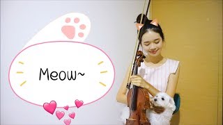 Video thumbnail of "Learn to Meow  (學貓叫) ☆Violin☆"