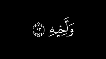 فَاصبِر صَبرًا جَميلًا || كروما قران كريم شاشة سوداء || محمد اللحيدان