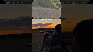 Tikka T3x 22-250 vs 200 Yard Rabbit | DNT ZULUS 4K