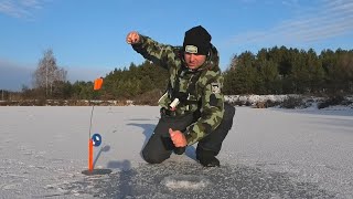 ВОТ ЭТО ПОПАЛ НА ЖОР. Жерлицы стреляют одна за другой. Рыбалка на жерлицы и балансиры со льда