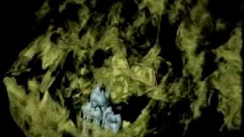 BBC The Missing Link 4