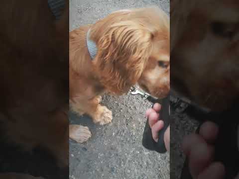 #философияжизни #видео #животные #живи_в_моменте #сильныесловасосмыслом #рекомендации