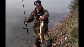 видео: Щука на джерк с берега, в городе и за городом. картинка: Щука на джерк с берега, в городе и за городом.