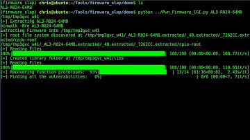 Firmware Slap - Discovering Firmware Vulnerability