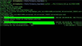 Firmware Slap - Discovering Firmware Vulnerability