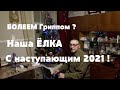 Наша ёлка 2021. С наступающим друзья ! Болеем Гриппом или ?