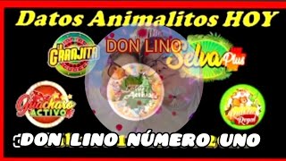 Cómo ganar a las loterías miércoles 20/05/26 con don lino número uno